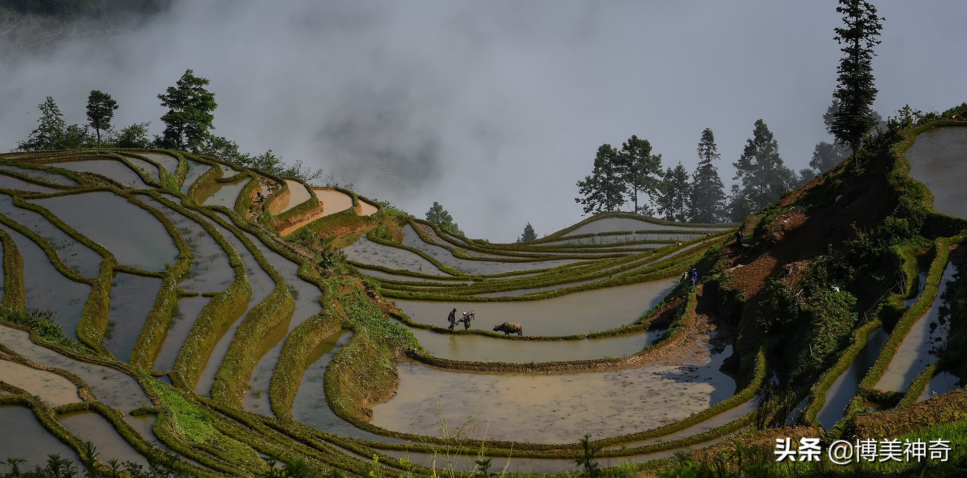 红河哈尼族彝族自治州阿者科村,云南元阳哈尼梯田阿者科村