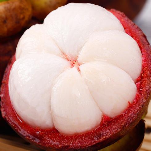 野生山竹为什么叫水果皇后,水果皇后山竹长什么样