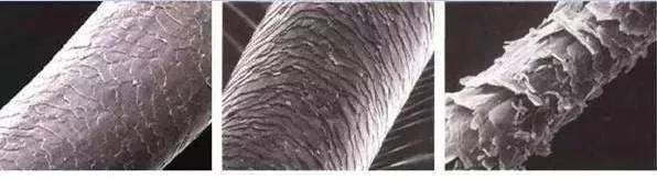 烫发后头发干枯毛躁用什么弹力素,怎么拯救烫了太卷的头发