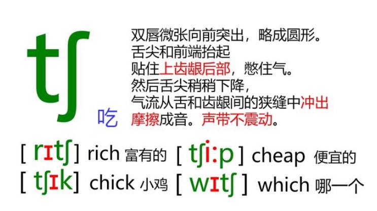 国际英语48个音标发音视频教程,英语零基础音标教程