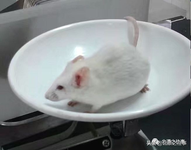 记忆中最深刻的一件事,记忆最深的一件事开头