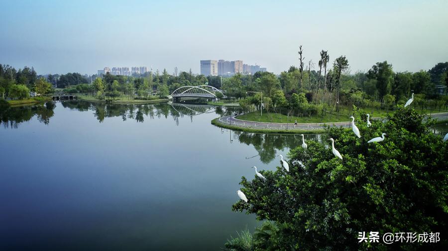 双流区现状,翻天覆地的发展变化
