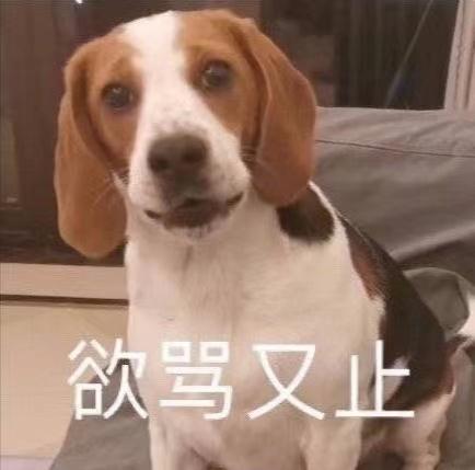 “穿着1万6的羊绒衫上班,老板夸我像章泽天”