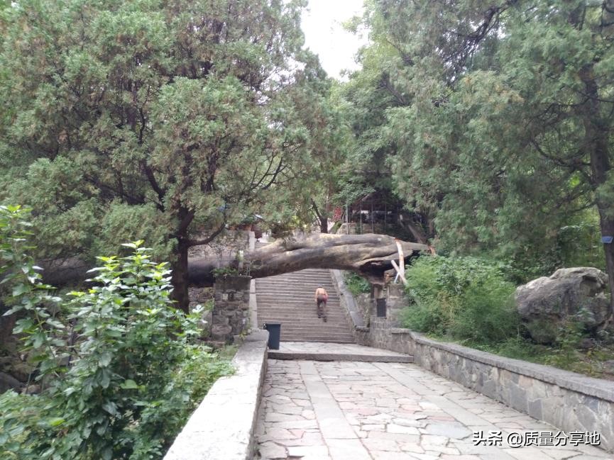 五岳独尊泰山一日游,泰山五岳独尊游记