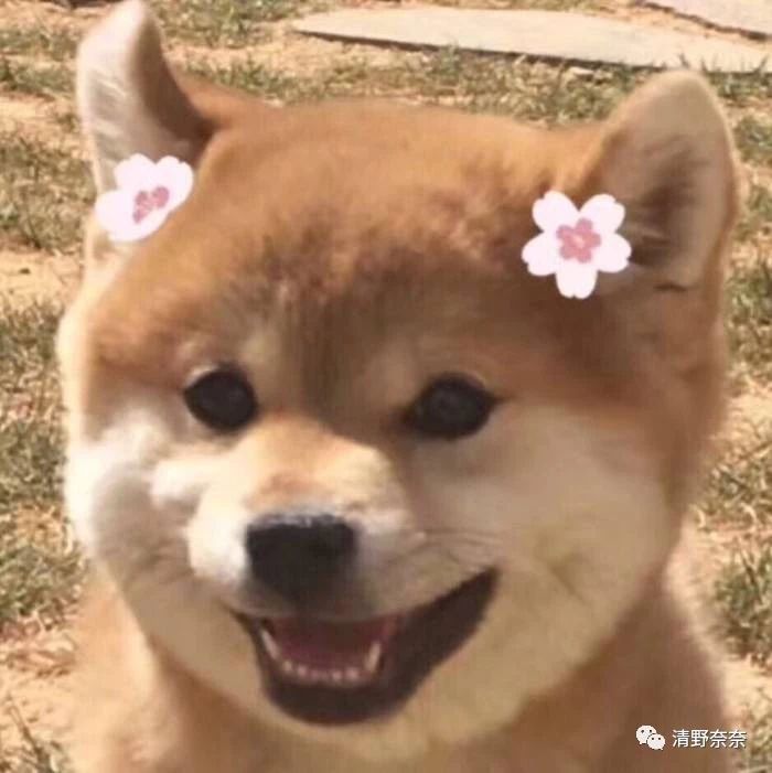 1000片面膜,水光针一次相当于多少片面膜