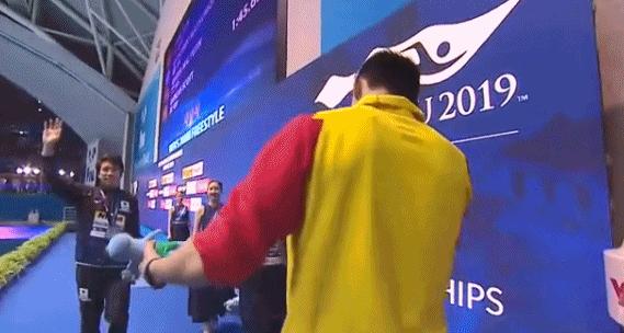 霍顿式闹剧孙杨霸气回应,孙杨霸气回应霍顿动图