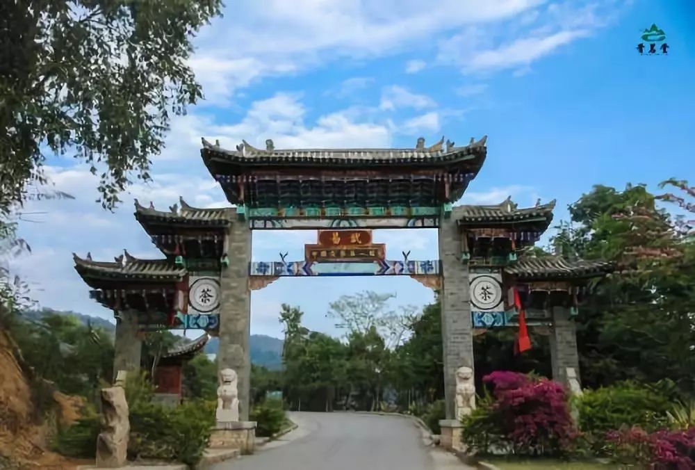 易武正山贡茶2007,专注易武贡茶