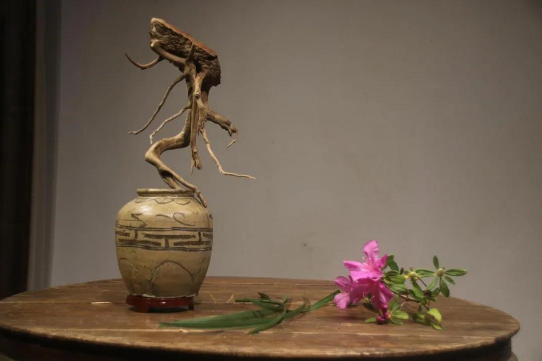 年年皆是,年年皆是如此什么意思