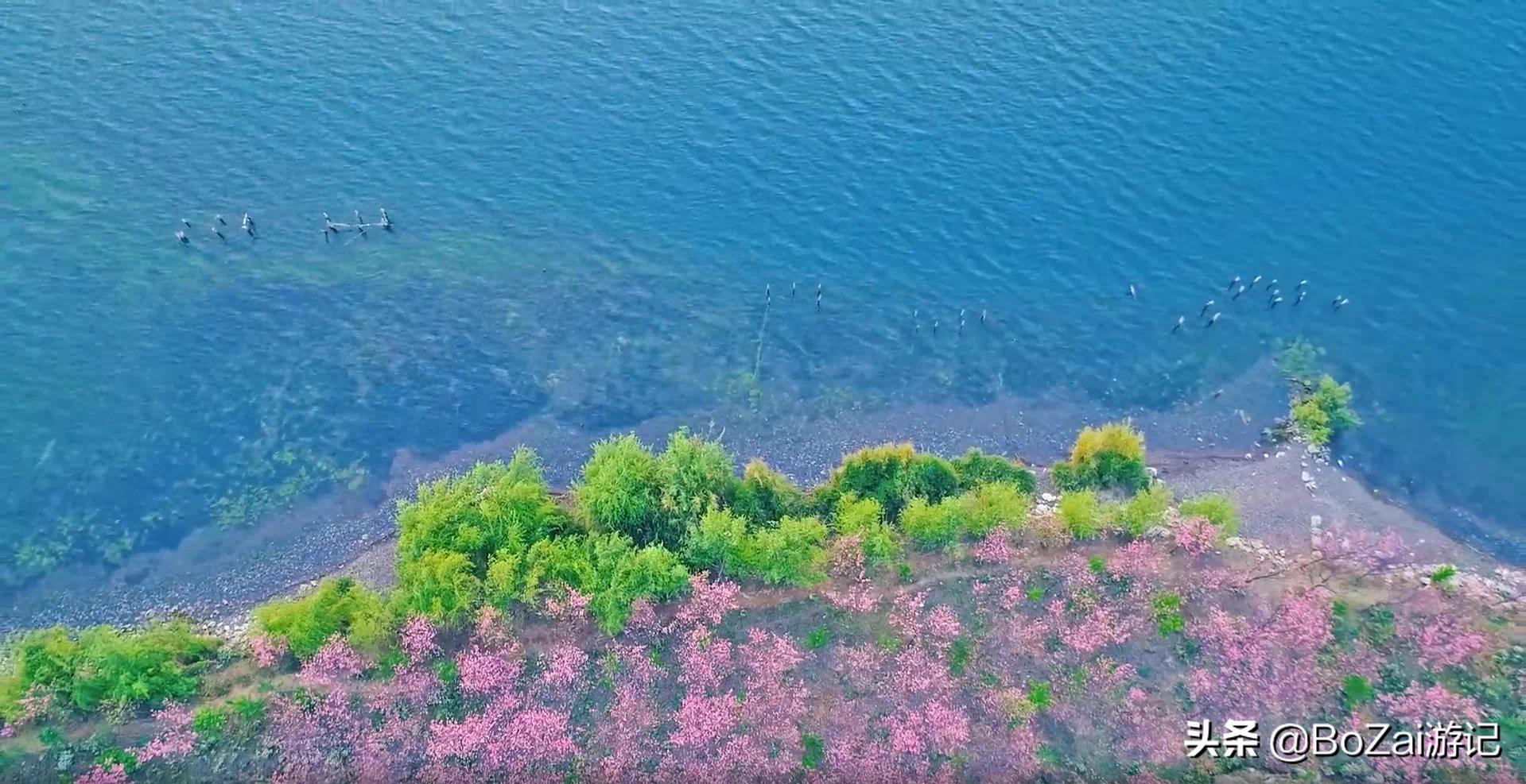 到云南玉溪旅游必去的10大景点，你去过几个？最爱哪个景点？
