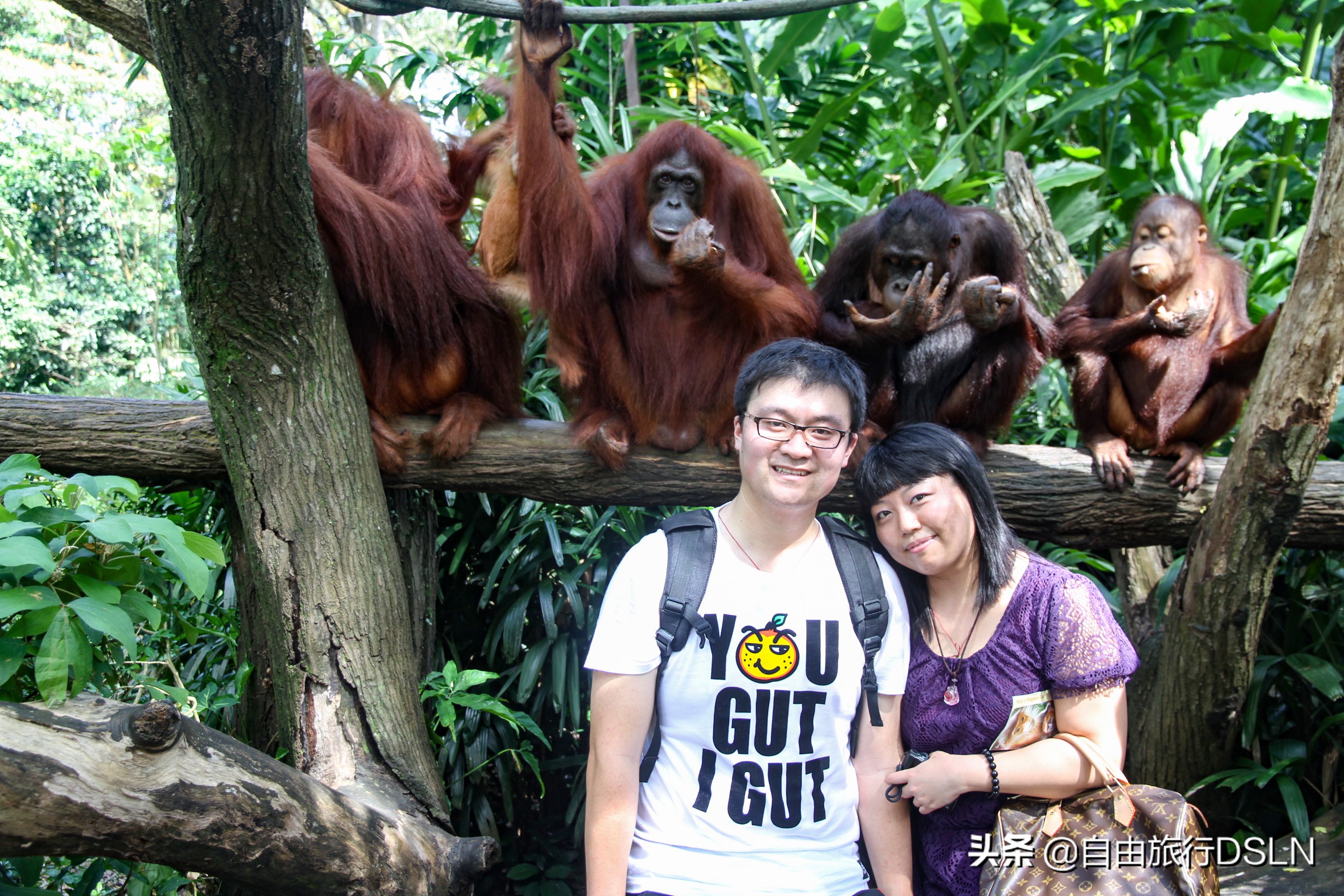 我们夫妻的身体变形记，减肥来之不易，恶心自己高兴别人