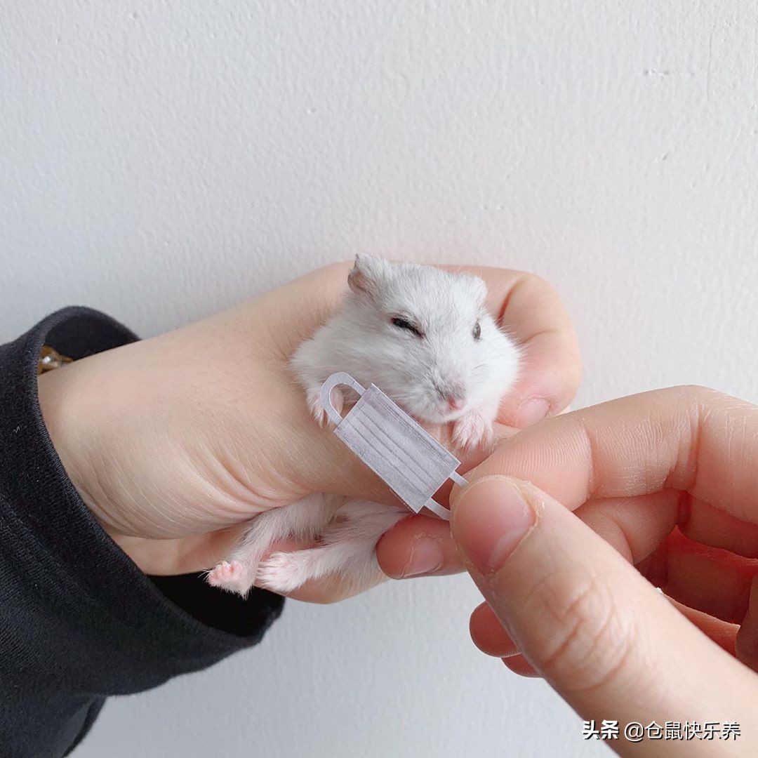 男子自制金口罩,男人自制口罩