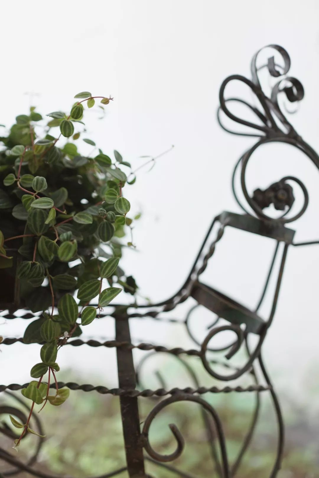 2024年上海二手学区房,上海二手学区房