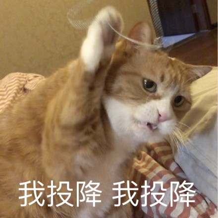 在绵*江阳**油招人，给应届毕业生3千月薪，居然被鄙视了？