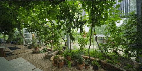 耗费十余年打造透明“自然屋”，瑞典爸爸终与自闭症儿子和解