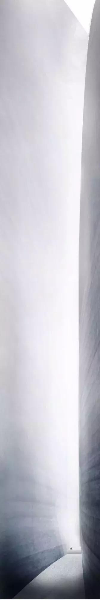 当景观遇上设计,当景观植物遇见灯光