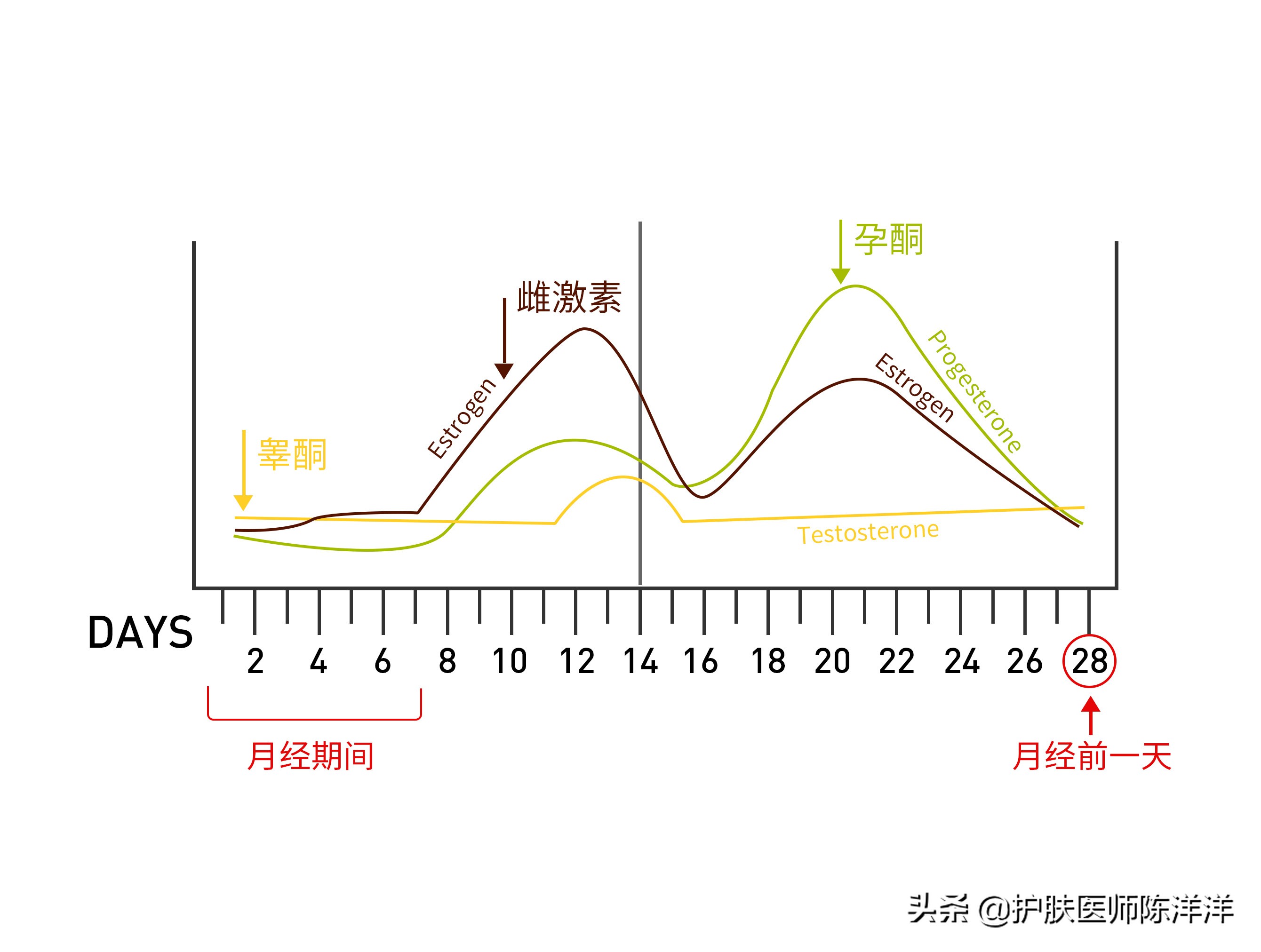 生理期姨妈痘,怎么防止姨妈期间冒痘