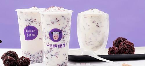 酸奶的营销建议与想法,酸奶的市场营销现状与对策