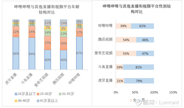 哔哩哔哩盈利能力分析,哔哩哔哩投资案例
