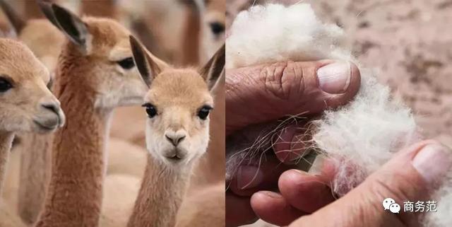 十大小众轻奢男装,中年男装小众品牌