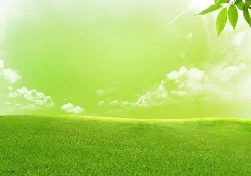 描述春天最好的十首诗句,积累十句关于春天的诗句