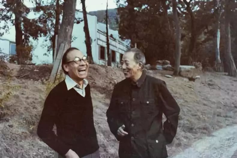 中国园林第一人，每个中国人都该谢谢他