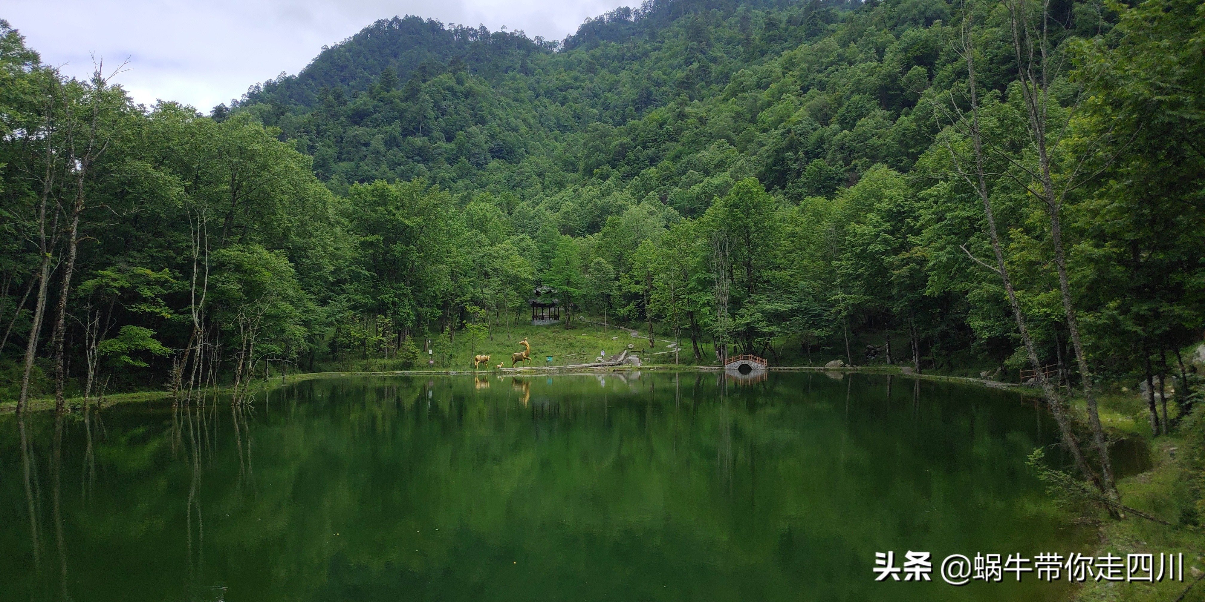 带小朋友出去看小动物,带小孩去海洋动物园
