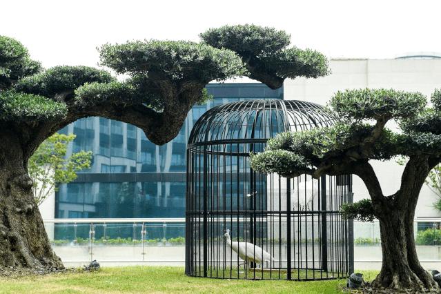 十一去哪玩？上海周边这15家度假酒店安排上