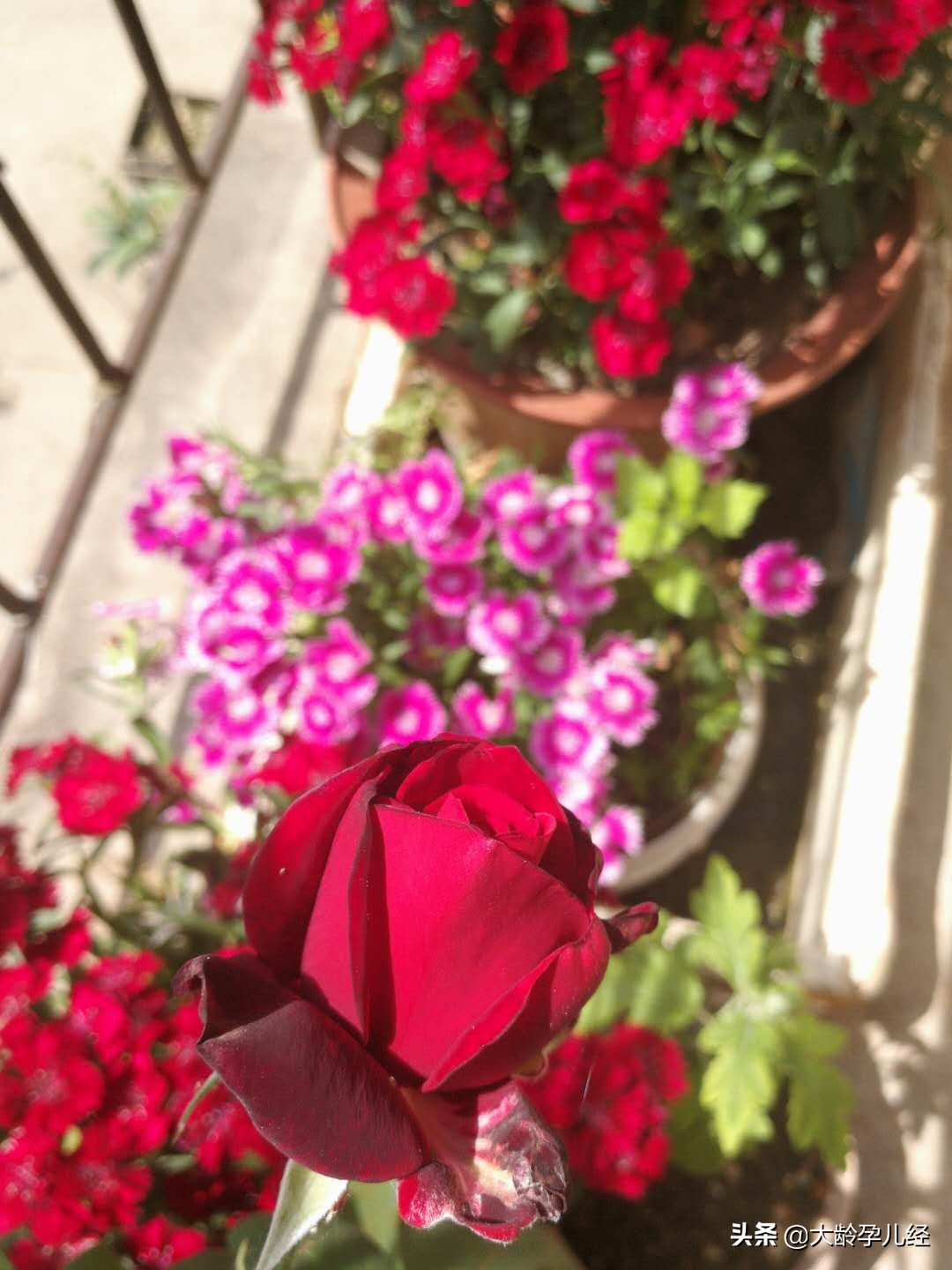 剖腹产20天后可以做哪些产后恢复,刨腹产妇产后需要注意什么