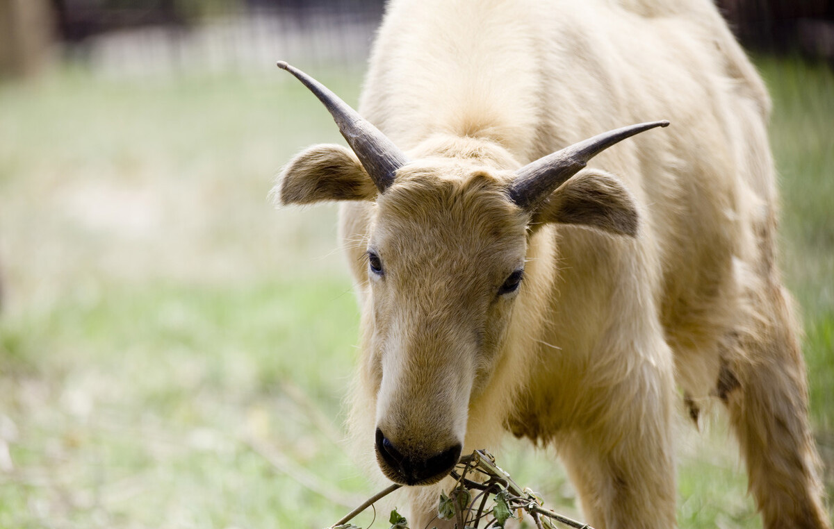 中国死亡率最高的穿越线路,最危险的线路穿越