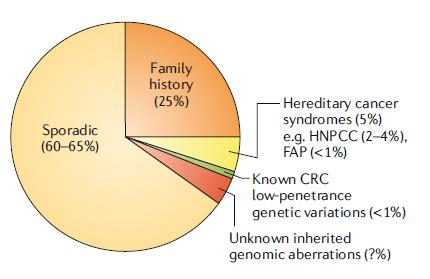 结直肠癌基因治疗之路,结直肠癌风险基因评估