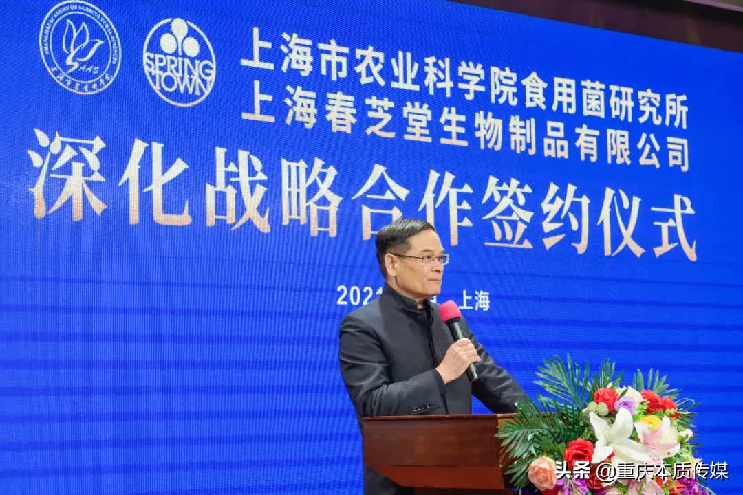 上海春芝堂食用菌,上海春芝堂食用菌最新新闻