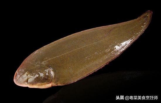 名贵海鲜食材排名,名贵海鱼大全图片