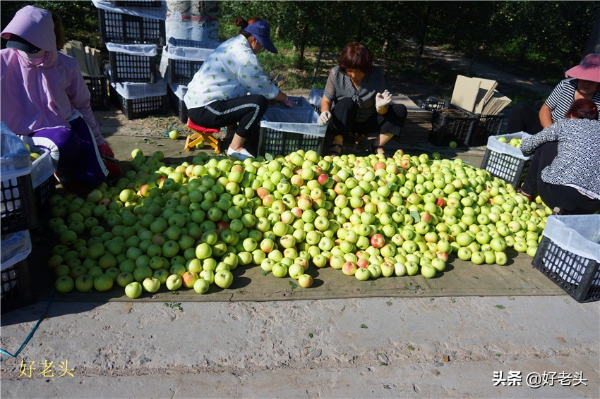 床车自驾游吃住在车上,床车自驾吃住