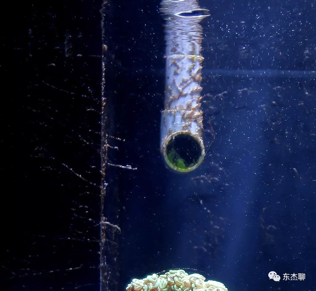 光说不练假把式图片,光说不练假把式怎么回复