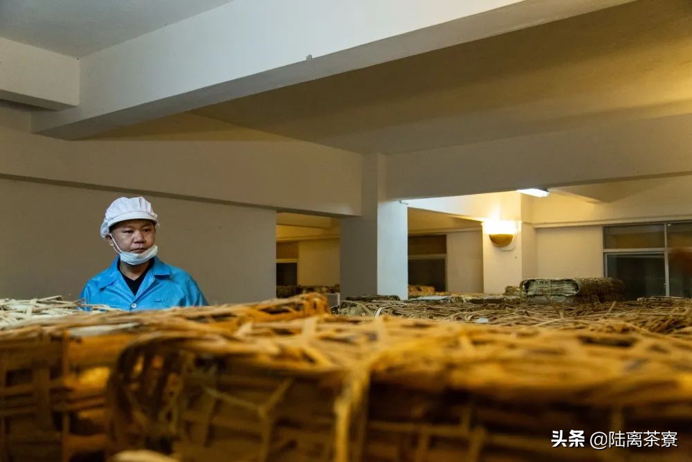 行业巨无霸？城市精品仓？深圳能成为普洱茶界的巨头吗？