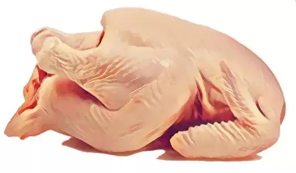 四季学堂养生课,吃鸡的忌口