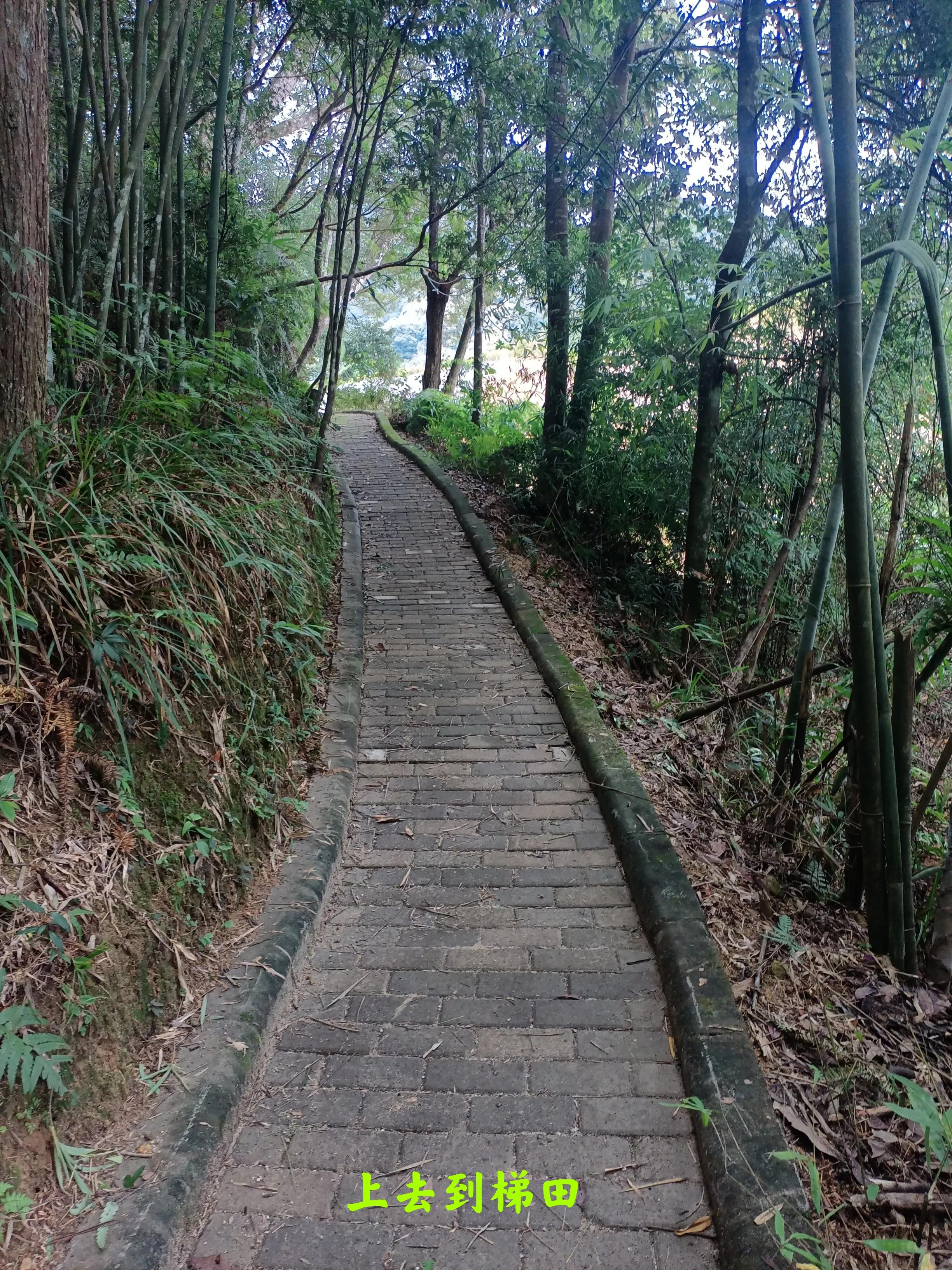 乘公交去乡下:广州海拔最高的村落-阿婆六村