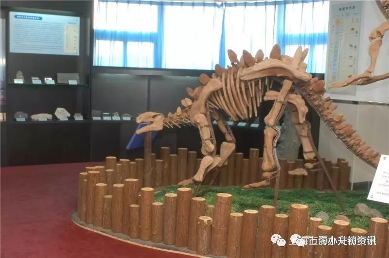 闵行上宝中学,闵行区条件最好的公办初中