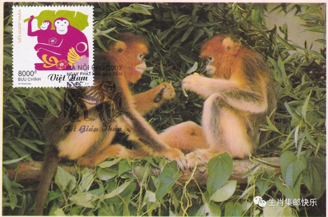 中国传统文化中生肖的寓意,中国传统文化之生肖文化图片2018