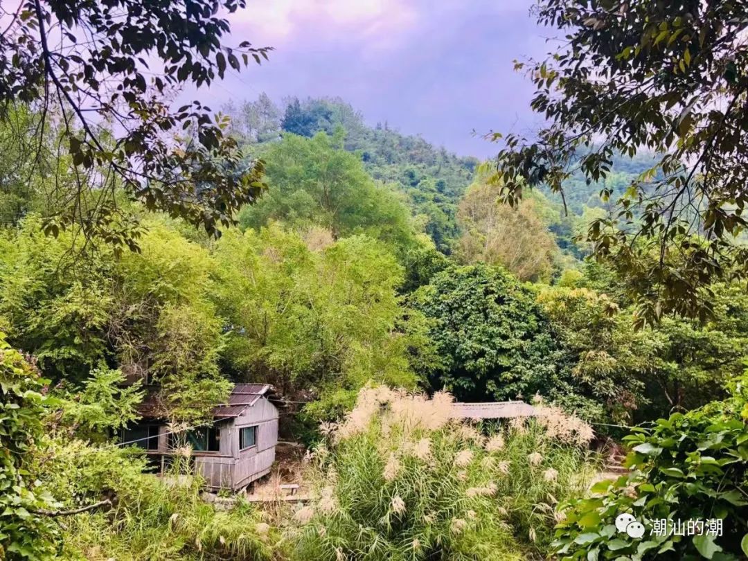 幽峪逸林门票在线购买,幽峪逸林最大瀑布