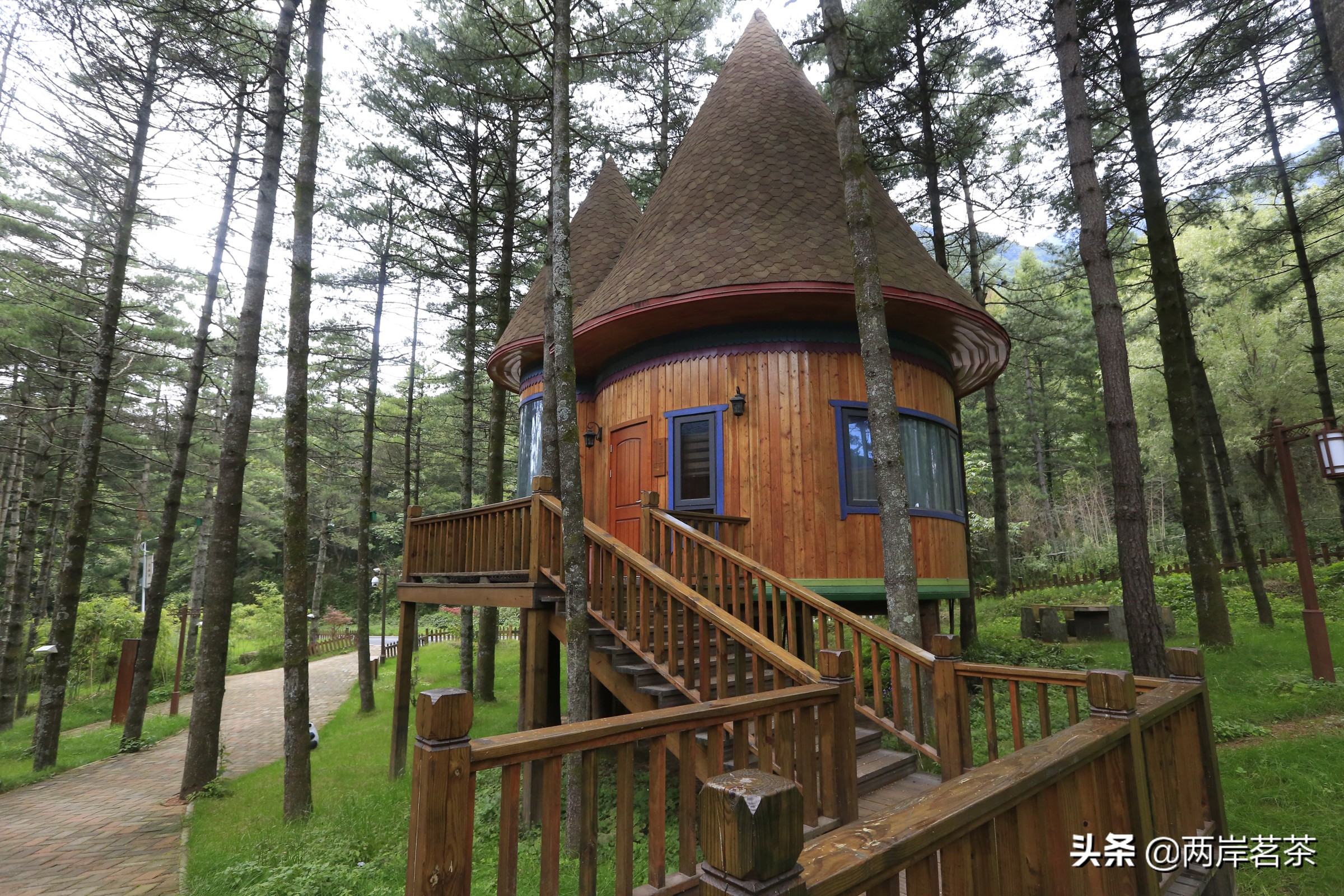 再看白云山，看山不是山，它是一本百读不厌的百科全书