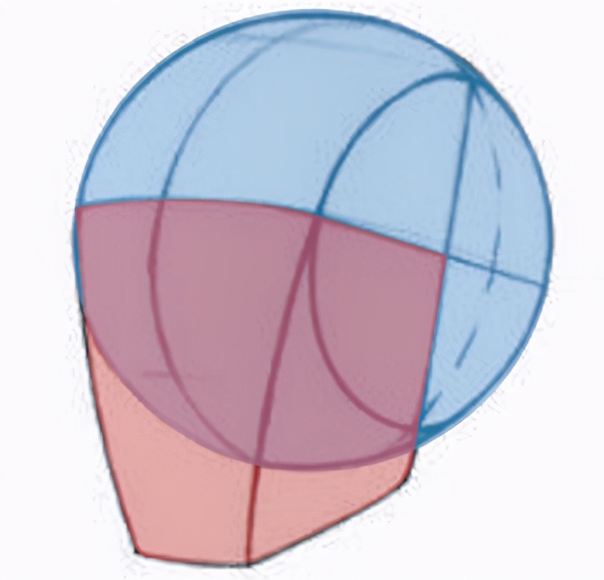 procreate写实人物起稿教程,二次元头像绘画新手教程