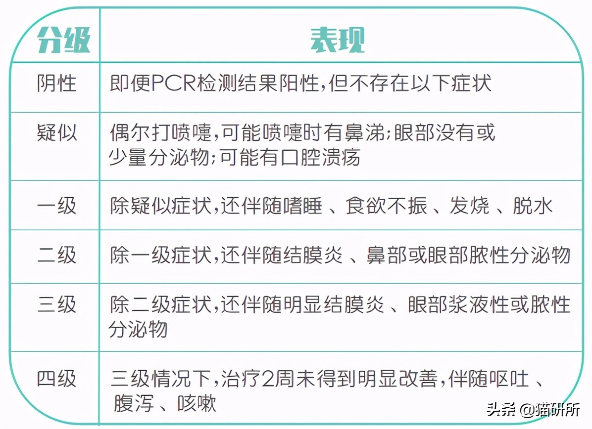 怎样让猫咪远离一个地方,怎么让猫咪远离耳螨