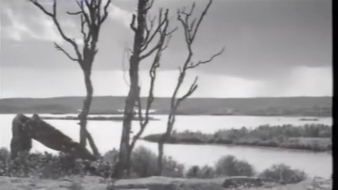 二战译制片这里的黎明静悄悄,译制片这里的黎明静悄悄国语版