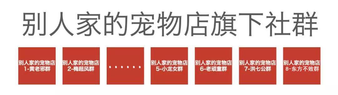 新增9群丨大家期盼的“神雕群”来了