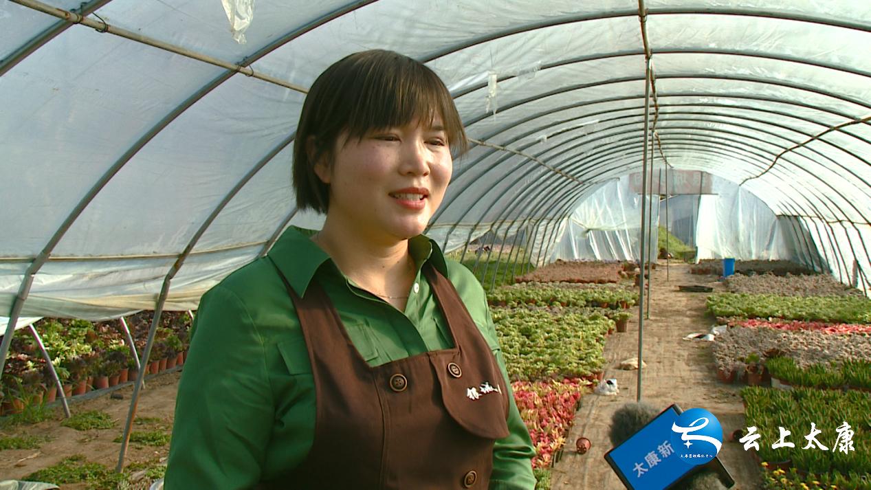 返乡创业成就梦想,农民返乡创业种多肉