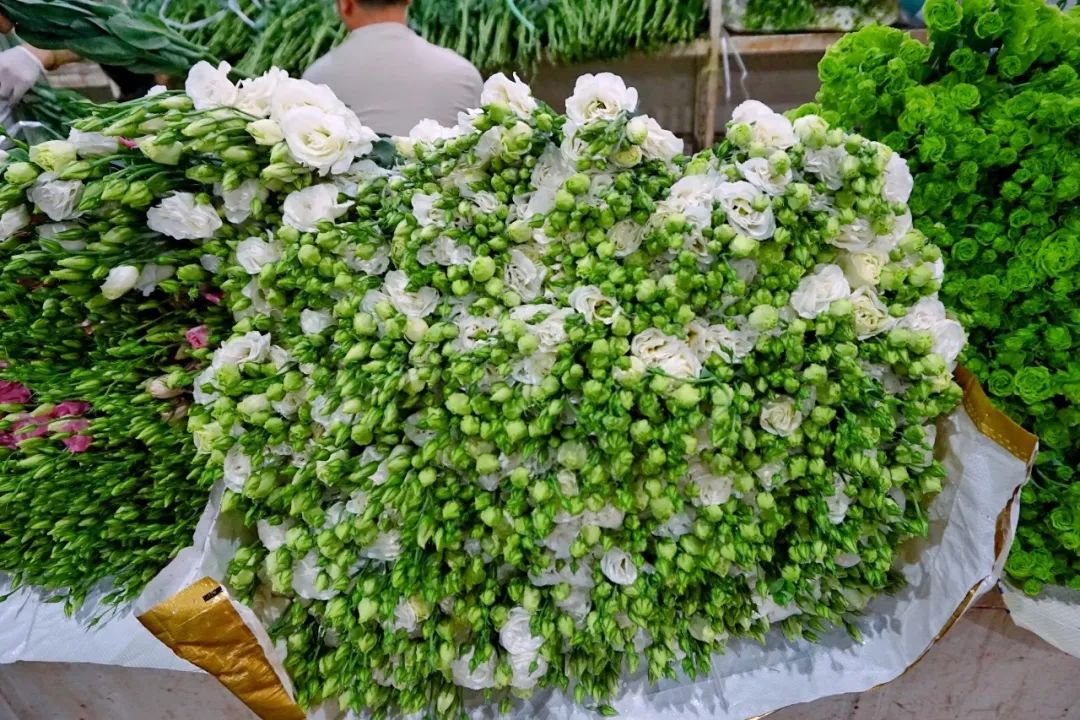 哪里鲜花最多最便宜,苏州市最大鲜花批发市场