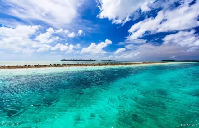 帕劳金色水母,帕劳水母旅行