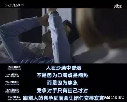 翻译硕士英语和专八哪个难,翻译专业需要考专四专八吗