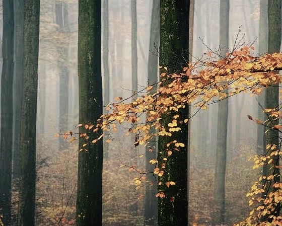 发现婆家人都很阴暗怎么办,发现婆家算计自己怎么办